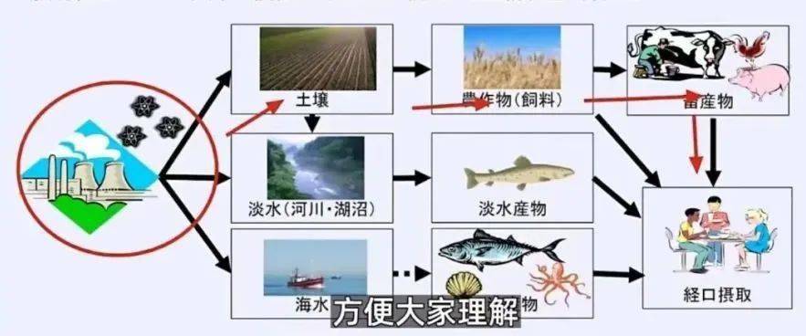 日本排放核污水模型_日本排放核污水处理_日本排放核污水t恤